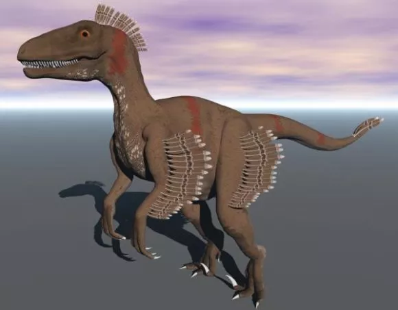 Gecko Lizard Animal 3d model