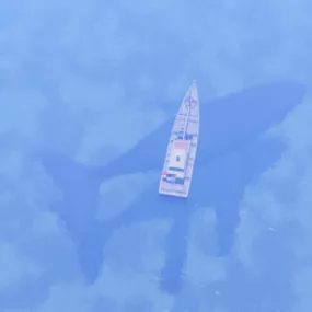 Fishing Boat On A Whale Animal 3d model