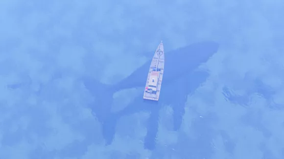 Sailboat, Sailing Boat 3d model