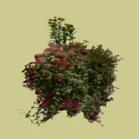 Flower Bushes 3d model