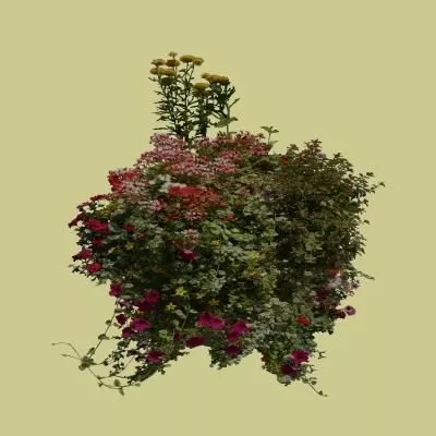 Small Bush With Grass 3d model
