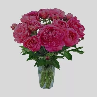 White Pottery Vase With Dry Plant 3d model
