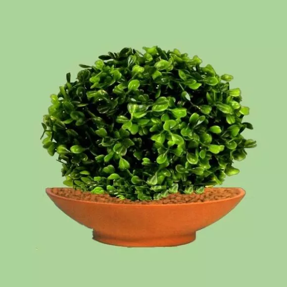 Flower On Bowl 3d model Flower On Bowl 3d model