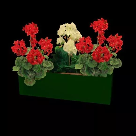 Heart Box With Bow Decoration 3d model
