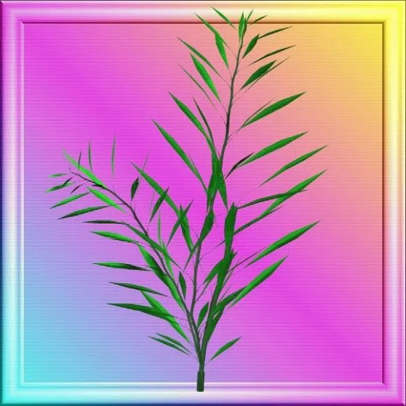 Indoor Small Pot Plant Set 3d model