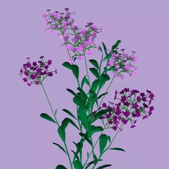 Flower Lowpoly Decoration 3d model