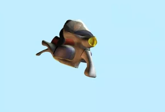 Lunar Roving Vehicle 3d model