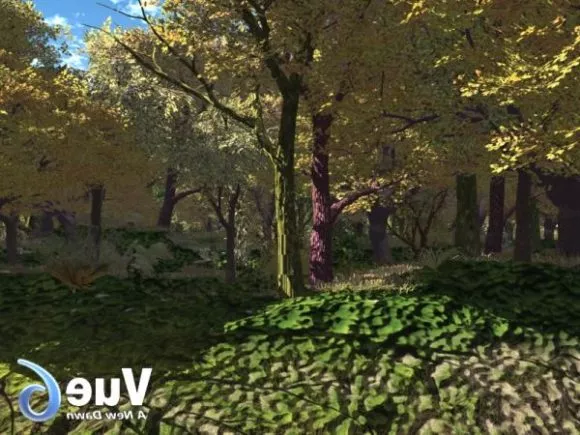 Jungle Forest View 3d model Jungle Forest View 3d model