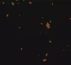Yellow Falling Leaves 3d model