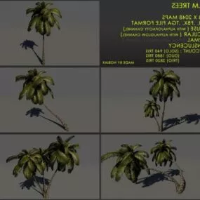 Palm Tree Coconut Tree Set 3d model