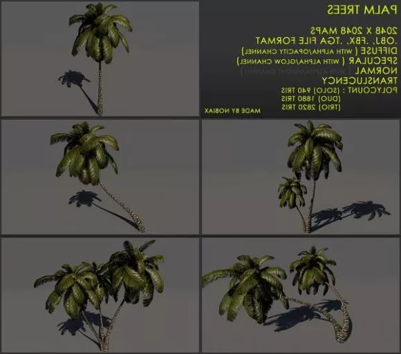 Island Palm Tree, Lowpoly Tree 3d model