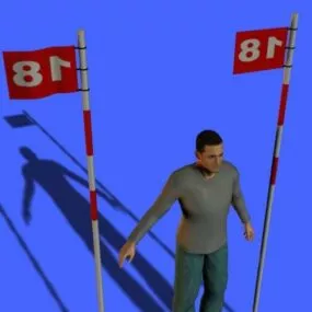 Sport Golf Course Flags 3d model