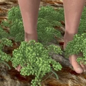 Grapes Fruit Plant With Human 3d model