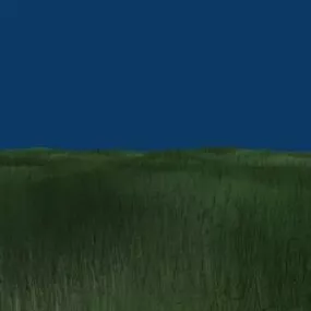 Grass Landscape With Sky 3d model