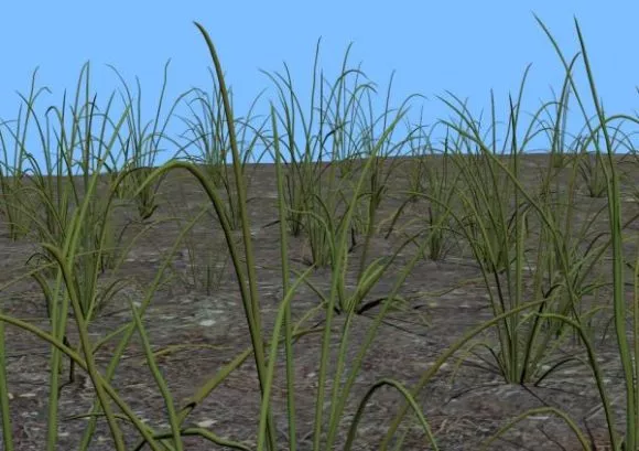 Small Garden Grass Bush 3d model