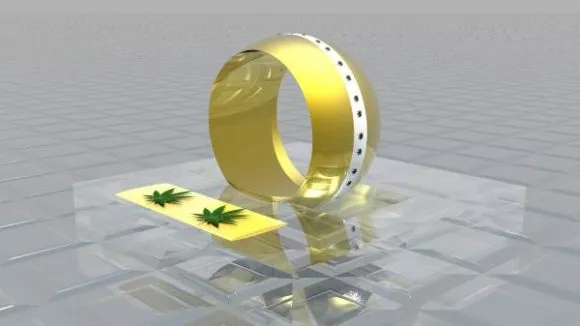 Ring Jewelry Set With Colorful Jade 3d model