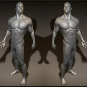 Strong Body Man Character 3d model