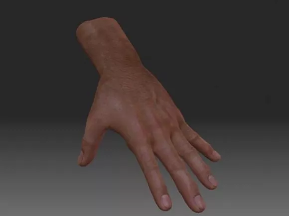Realistic Hand 3d model Realistic Hand 3d model
