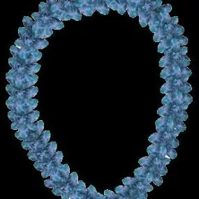 Hawaiian Necklet Jewelry 3d model