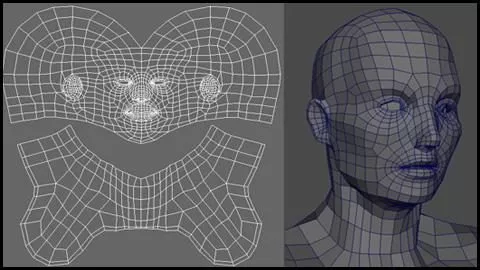 Head Base Mesh With Uvw 3d model Head Base Mesh With Uvw 3d model
