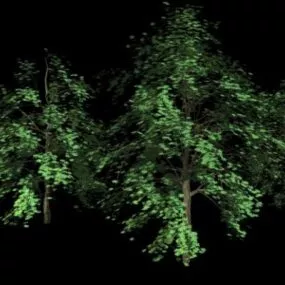 Highpoly Tree 3d model