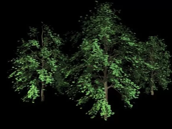 Highpoly Tree 3d model Highpoly Tree 3d model