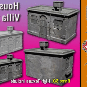 Old House Villa 3d model