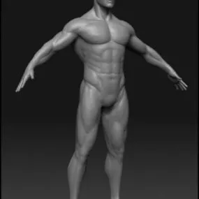 Male Athletic Character 3d model