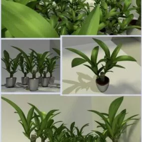 Indoor Small Pot Plant Set 3d model