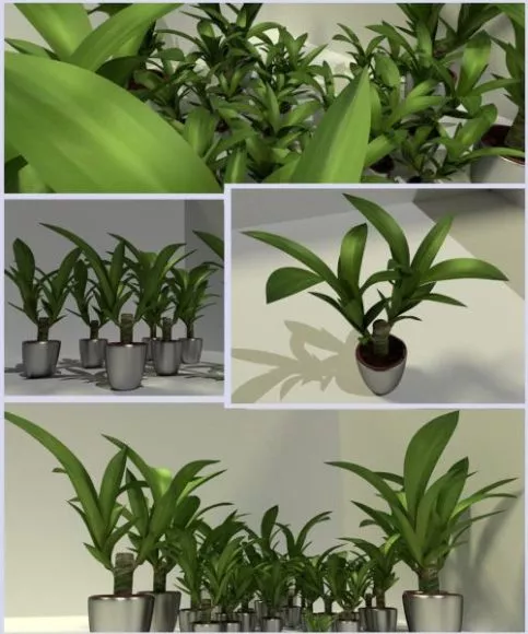 Indoor Small Pot Plant Set 3d model Indoor Small Pot Plant Set 3d model