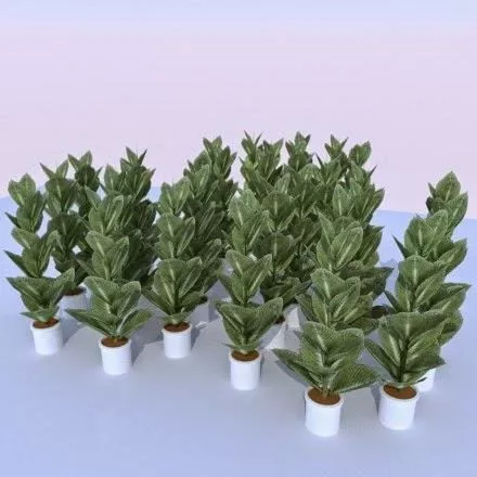 Indoor Plant Stack With Pot 3d model Indoor Plant Stack With Pot 3d model