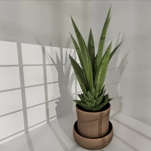 Indoor Plant Pot 3d model Indoor Plant Pot 3d model
