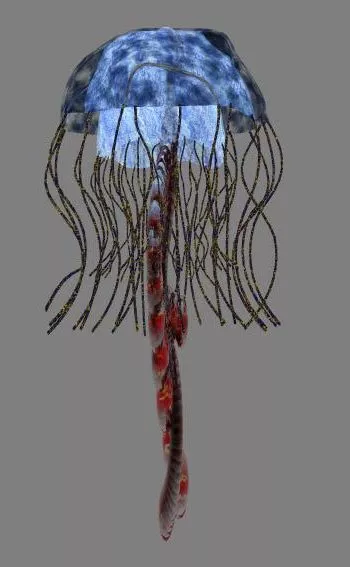 Jelly Fish Animal 3d model Jelly Fish Animal 3d model