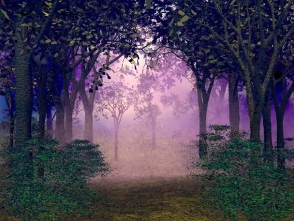 Fog Forest Landscape 3d model