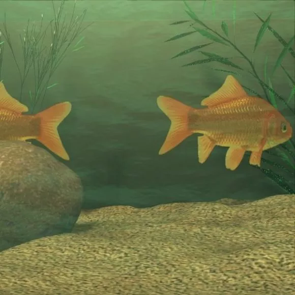 Livingroom Aquarium With Fishes 3d model Livingroom Aquarium With Fishes 3d model
