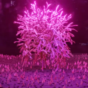 Magical Purple Tree Forest 3d model