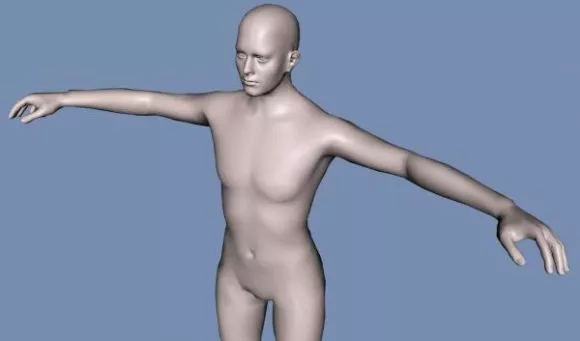 Human Body Base Mesh 3d model Human Body Base Mesh 3d model