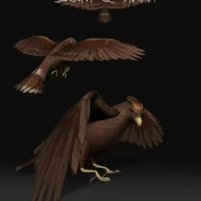 Hawk Bird Animal 3d model