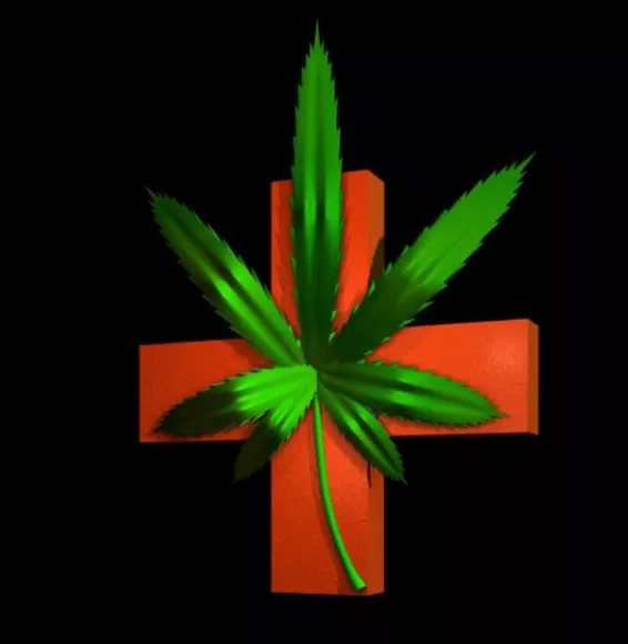 Clover Leaf Plant 3d model