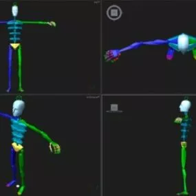 Human Rigged Biped Character 3d model