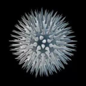 Science Microcell Dark Cell 3d model