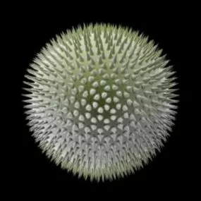 Science Microcell Dead Cell 3d model