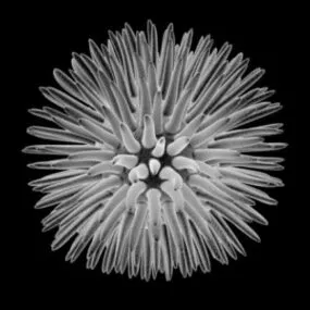 Science Microcell Retrocell 3d model