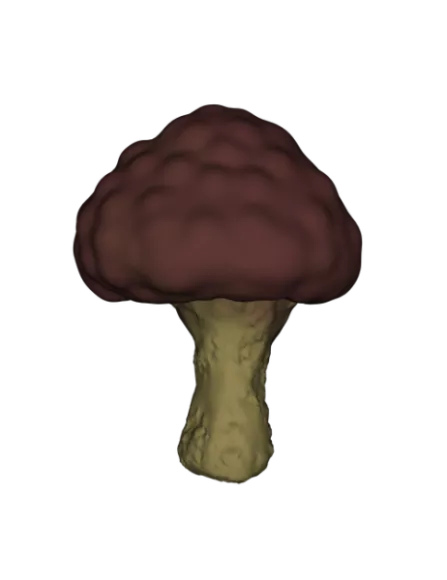 Low Poly Tree Plant 3d model
