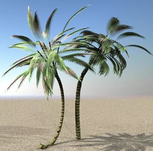 Desert Terrain 3d model