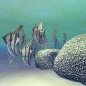 Sea Angel Fish 3d model