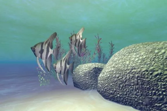 Sel Sea Fish 3d model