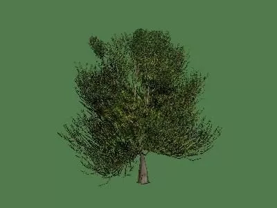Dry Log Tree Of Fear 3d model