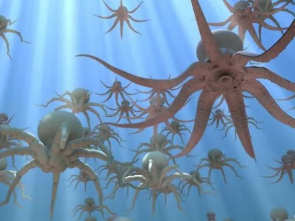 Octopus Base Mesh 3d model