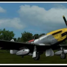 Vintage Aircraft Mustang P51d 3d model